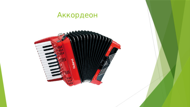 Аккордеон 