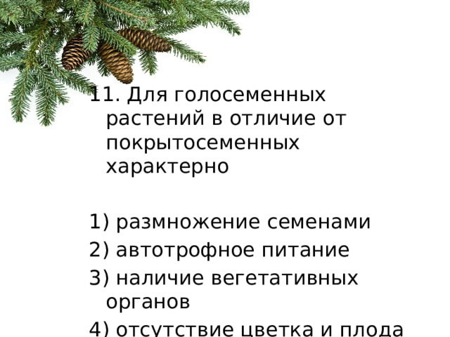 11. Для голосеменных растений в отличие от покрытосеменных характерно   1) размножение семенами 2) автотрофное питание 3) наличие вегетативных органов 4) отсутствие цветка и плода 