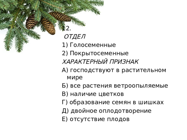 12.   ОТДЕЛ 1) Голосеменные 2) Покрытосеменные ХАРАКТЕРНЫЙ ПРИЗНАК А) господствуют в растительном мире Б) все растения ветроопыляемые В) наличие цветков Г) образование семян в шишках Д) двойное оплодотворение Е) отсутствие плодов 
