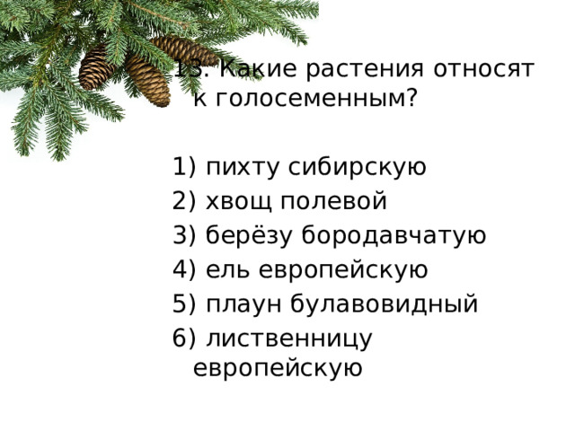 13. Какие растения относят к голосеменным?   1) пихту сибирскую 2) хвощ полевой 3) берёзу бородавчатую 4) ель европейскую 5) плаун булавовидный 6) лиственницу европейскую 
