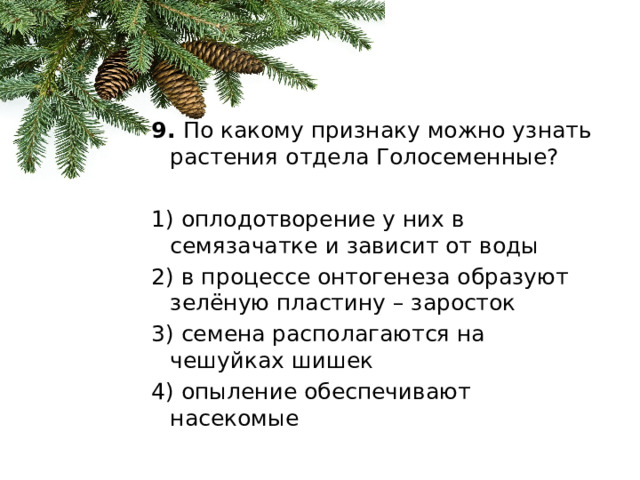 9.  По какому признаку можно узнать растения отдела Голосеменные?   1) оплодотворение у них в семязачатке и зависит от воды 2) в процессе онтогенеза образуют зелёную пластину – заросток 3) семена располагаются на чешуйках шишек 4) опыление обеспечивают насекомые 