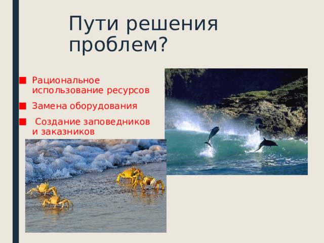 Пути решения проблем? Рациональное использование ресурсов Замена оборудования  Создание заповедников и заказников 
