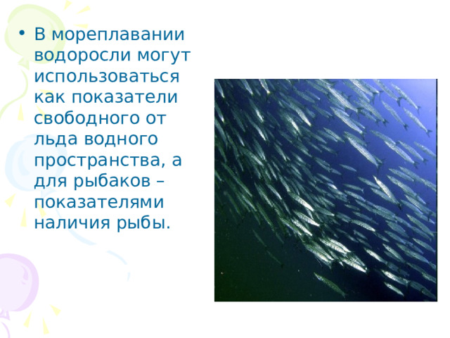 В мореплавании водоросли могут использоваться как показатели свободного от льда водного пространства, а для рыбаков – показателями наличия рыбы. 