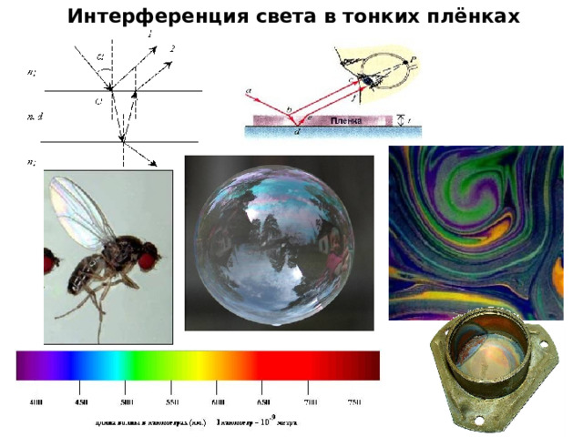 Интерференция света в тонких плёнках 