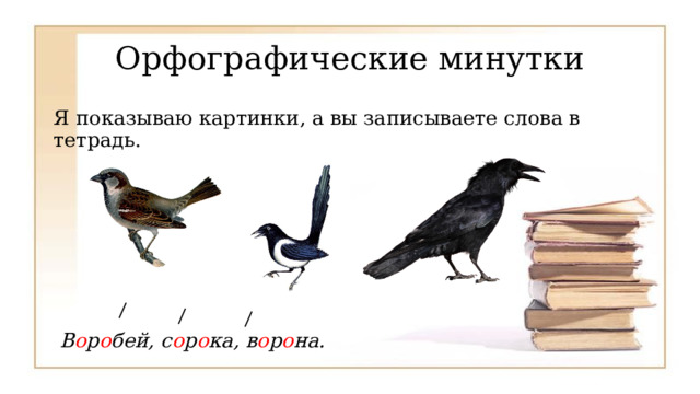 Орфографические минутки Я показываю картинки, а вы записываете слова в тетрадь.  В о р о бей, с о р о ка, в о р о на. 