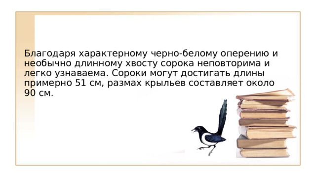 Благодаря характерному черно-белому оперению и необычно длинному хвосту сорока неповторима и легко узнаваема. Сороки могут достигать длины примерно 51 см, размах крыльев составляет около 90 см. 