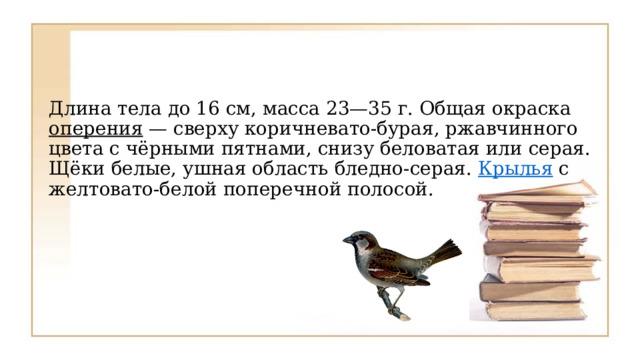 Длина тела до 16 см, масса 23—35 г. Общая окраска  оперения  — сверху коричневато-бурая, ржавчинного цвета с чёрными пятнами, снизу беловатая или серая. Щёки белые, ушная область бледно-серая.  Крылья с желтовато-белой поперечной полосой.  