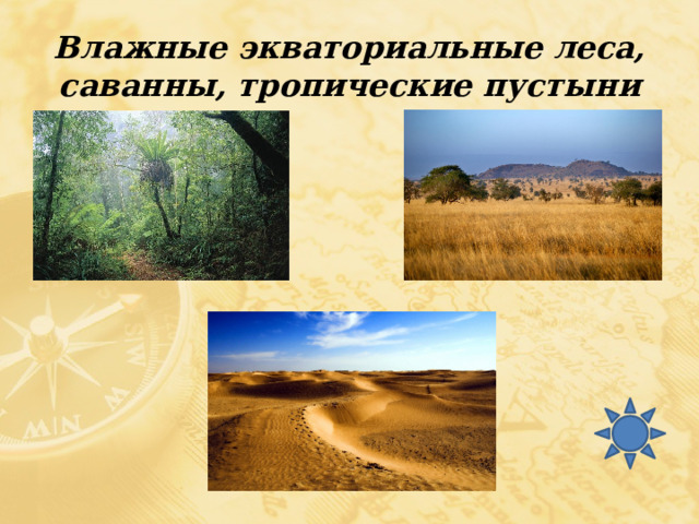 Влажные экваториальные леса, саванны, тропические пустыни 