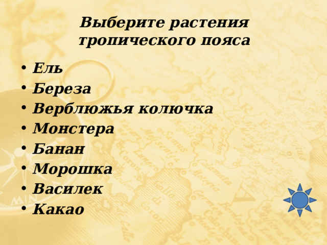 Выберите растения тропического пояса Ель Береза Верблюжья колючка Монстера Банан Морошка Василек Какао 