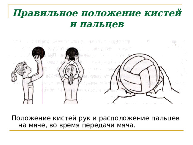 Правильное положение кистей и пальцев Положение кистей рук и расположение пальцев на мяче, во время передачи мяча. 