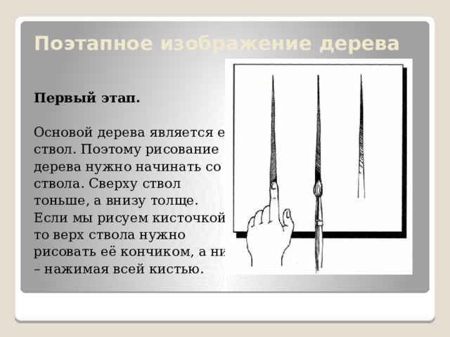 Поэтапное изображение дерева   Первый этап.  Основой дерева является его ствол. Поэтому рисование дерева нужно начинать со ствола. Сверху ствол тоньше, а внизу толще. Если мы рисуем кисточкой, то верх ствола нужно рисовать её кончиком, а низ – нажимая всей кистью.  