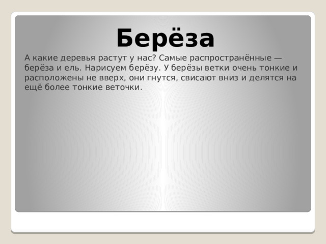 Берёза А какие деревья растут у нас? Самые распространённые — берёза и ель. Нарисуем берёзу. У берёзы ветки очень тонкие и расположены не вверх, они гнутся, свисают вниз и делятся на ещё более тонкие веточки. 