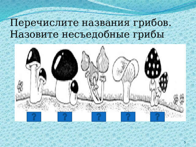 Перечислите названия грибов. Назовите несъедобные грибы 2 