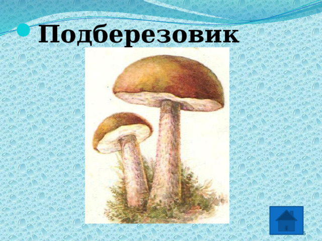 Подберезовик 2 