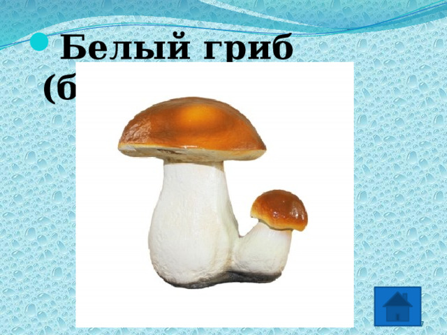 Белый гриб (боровик) 2 