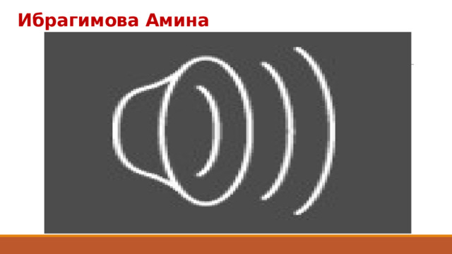 Ибрагимова Амина 