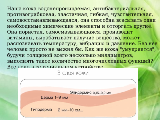  Наша кожа водонепроницаемая, антибактериальная, противогрибковая, эластичная, гибкая, чувствительная, самовосстанавливающаяся, она способна всасывать одни необходимые химические элементы и отторгать другие. Она пористая, самосмазывающаяся, производит витамины, вырабатывает пахучие вещества, может распознавать температуру, вибрацию и давление. Без нее человек просто не выжил бы. Как же кожа 