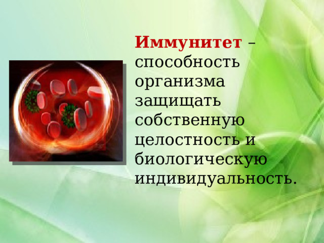 Иммунитет – способность организма защищать собственную целостность и биологическую индивидуальность. 