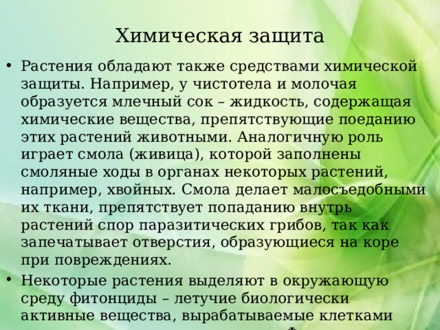Химическая защита Растения обладают также средствами химической защиты. Например, у чистотела и молочая образуется млечный сок – жидкость, содержащая химические вещества, препятствующие поеданию этих растений животными. Аналогичную роль играет смола (живица), которой заполнены смоляные ходы в органах некоторых растений, например, хвойных. Смола делает малосъедобными их ткани, препятствует попаданию внутрь растений спор паразитических грибов, так как запечатывает отверстия, образующиеся на коре при повреждениях. Некоторые растения выделяют в окружающую среду фитонциды – летучие биологически активные вещества, вырабатываемые клетками надземных и подземных органов. Фитонциды защищают растения от болезнетворных микроорганизмов. 
