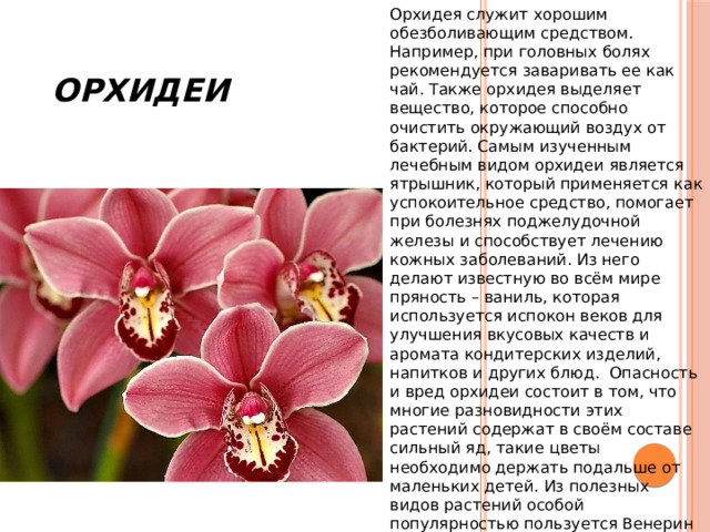  Орхидеи Орхидея служит хорошим обезболивающим средством. Например, при головных болях рекомендуется заваривать ее как чай. Также орхидея выделяет вещество, которое способно очистить окружающий воздух от бактерий. Самым изученным лечебным видом орхидеи является ятрышник, который применяется как успокоительное средство, помогает при болезнях поджелудочной железы и способствует лечению кожных заболеваний. Из него делают известную во всём мире пряность – ваниль, которая используется испокон веков для улучшения вкусовых качеств и аромата кондитерских изделий, напитков и других блюд.  Опасность и вред орхидеи состоит в том, что многие разновидности этих растений содержат в своём составе сильный яд, такие цветы необходимо держать подальше от маленьких детей. Из полезных видов растений особой популярностью пользуется Венерин Башмачок. Готовят отвары и настои из соцветий данного творения природы для лечения эпилепсии, недугов нервной системы, при мигренях, судорогах. 