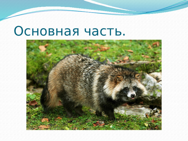  Основная часть. 