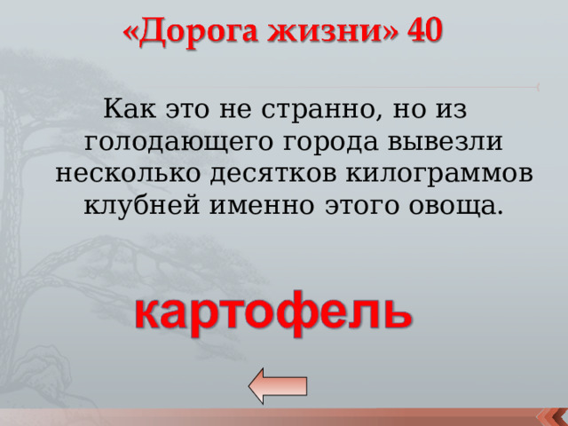 Как это не странно, но из голодающего города вывезли несколько десятков килограммов клубней именно этого овоща. 