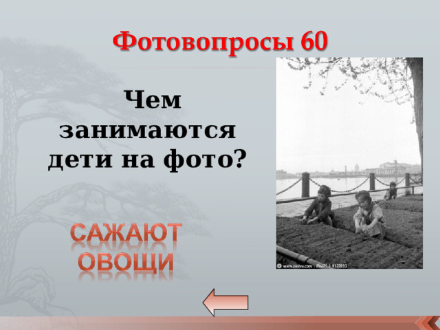  Чем занимаются дети на фото? 