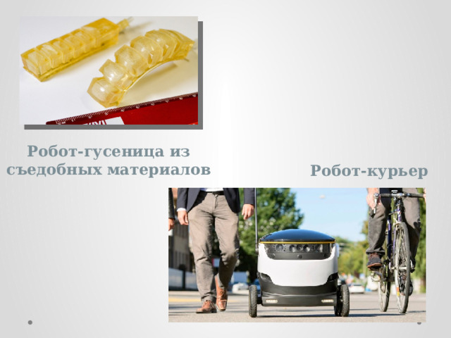 Робот-гусеница из съедобных материалов Робот-курьер 