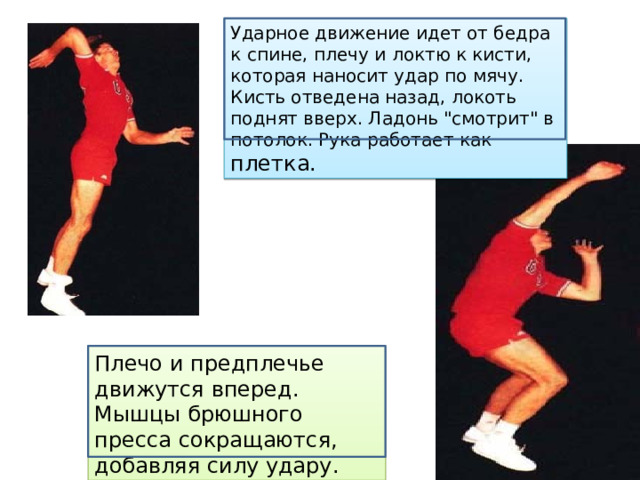 Ударное движение идет от бедра к спине, плечу и локтю к кисти, которая наносит удар по мячу. Кисть отведена назад, локоть поднят вверх. Ладонь 