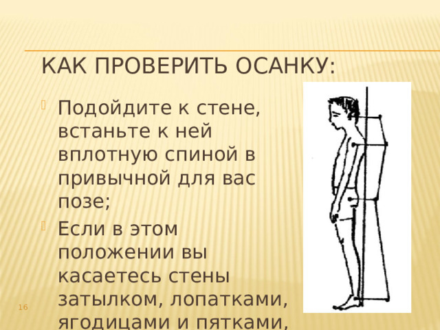 Как проверить осанку: Подойдите к стене, встаньте к ней вплотную спиной в привычной для вас позе; Если в этом положении вы касаетесь стены затылком, лопатками, ягодицами и пятками, то у вас правильная осанка.  