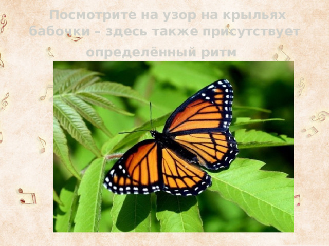  Посмотрите на узор на крыльях бабочки – здесь также присутствует определённый ритм  