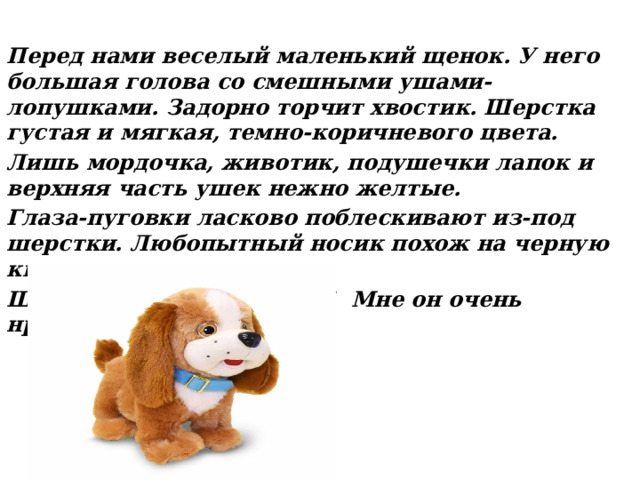 Перед нами веселый маленький щенок. У него большая голова со смешными ушами-лопушками. Задорно торчит хвостик. Шерстка густая и мягкая, темно-коричневого цвета. Лишь мордочка, животик, подушечки лапок и верхняя часть ушек нежно желтые. Глаза-пуговки ласково поблескивают из-под шерстки. Любопытный носик похож на черную кнопочку. Щенок просто как живой! Мне он очень нравится. А вам? 