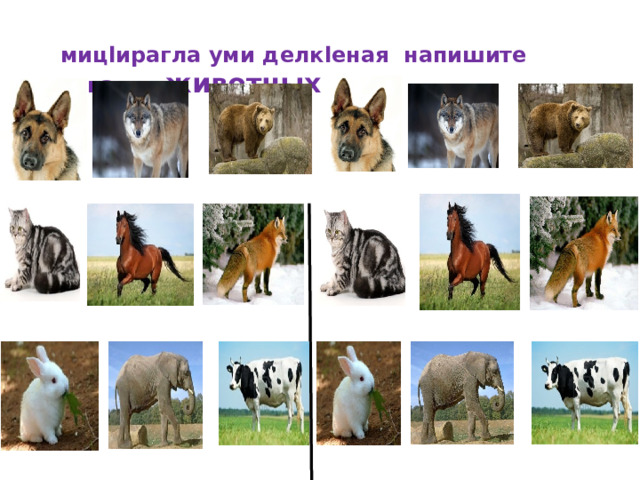  мицlирагла уми делкlеная напишите названия животных 
