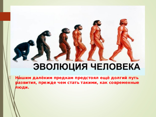 Нашим далёким предкам предстоял ещё долгий путь развития, прежде чем стать такими, как современные люди. 