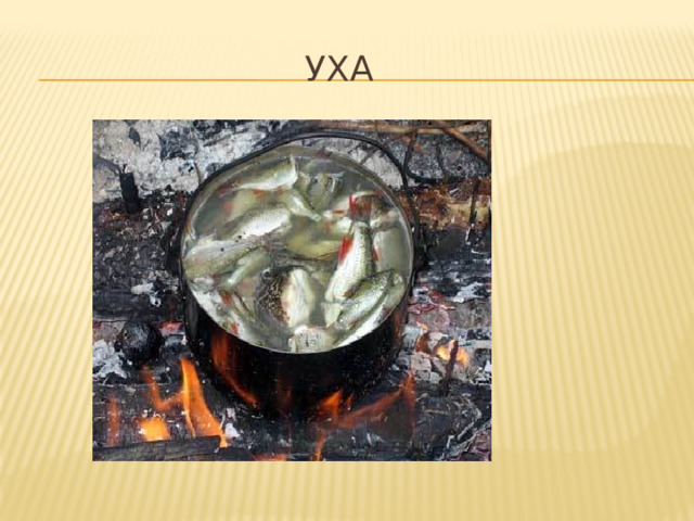  уха 