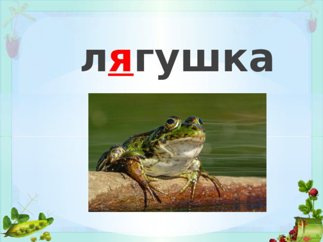 л я гушка 