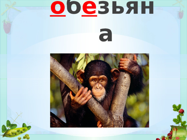 о б е зьяна 