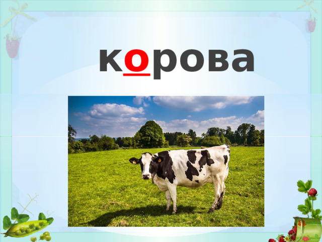к о рова 