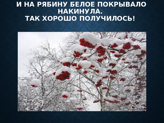 И на рябину белое покрывало накинула.  Так хорошо получилось! 