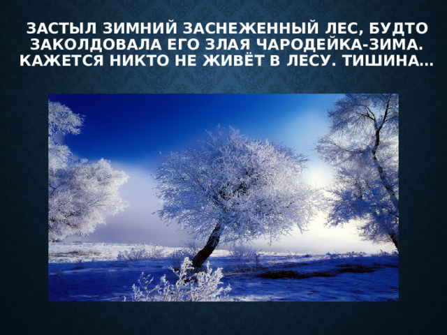 Застыл зимний заснеженный лес, будто заколдовала его злая чародейка-зима. Кажется никто не живёт в лесу. Тишина… 