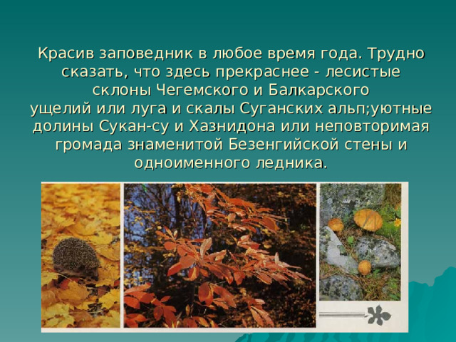 Красив заповедник в любое время года. Трудно сказать, что здесь прекраснее - лесистые  склоны Чегемского и Балкарского  ущелий или луга и скалы Суганских альп;уютные  долины Сукан-су и Хазнидона или неповторимая  громада знаменитой Безенгийской стены и  одноименного ледника. 