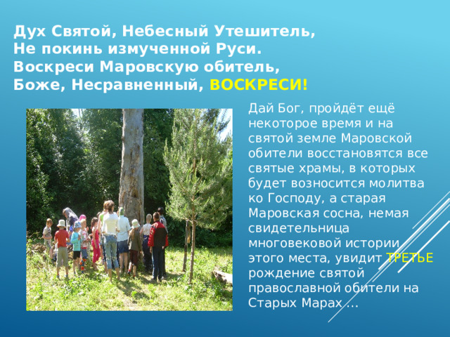 Дух Святой, Небесный Утешитель, Не покинь измученной Руси. Воскреси Маровскую обитель, Боже, Несравненный, ВОСКРЕСИ! Дай Бог, пройдёт ещё некоторое время и на святой земле Маровской обители восстановятся все святые храмы, в которых будет возносится молитва ко Господу, а старая Маровская сосна, немая свидетельница многовековой истории этого места, увидит ТРЕТЬЕ рождение святой православной обители на Старых Марах … 