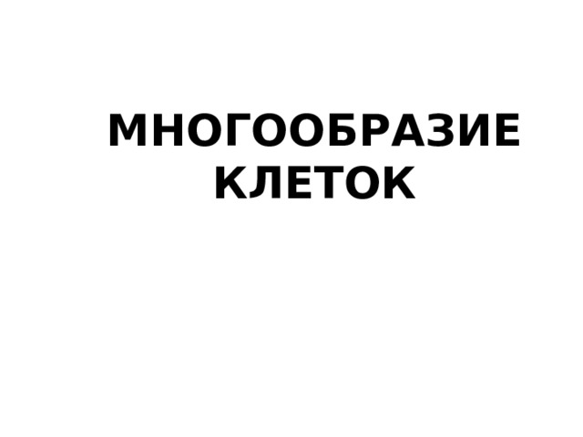 МНОГООБРАЗИЕ  КЛЕТОК 