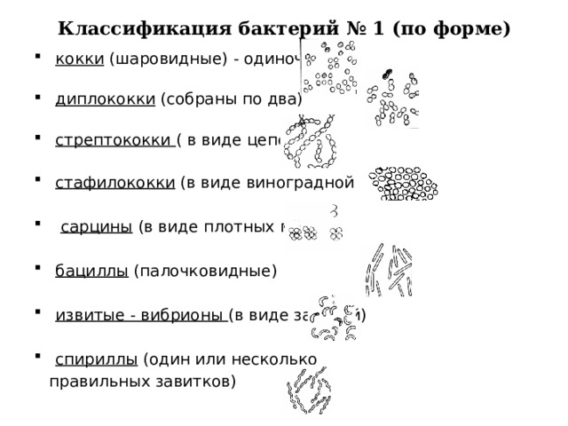 Классификация бактерий № 1 (по форме) кокки (шаровидные) - одиночные диплококки (собраны по два) стрептококки ( в виде цепочки) стафилококки (в виде виноградной грозди)  сарцины (в виде плотных пачек) бациллы (палочковидные) извитые - вибрионы (в виде запятой) спириллы (один или несколько  правильных завитков) 