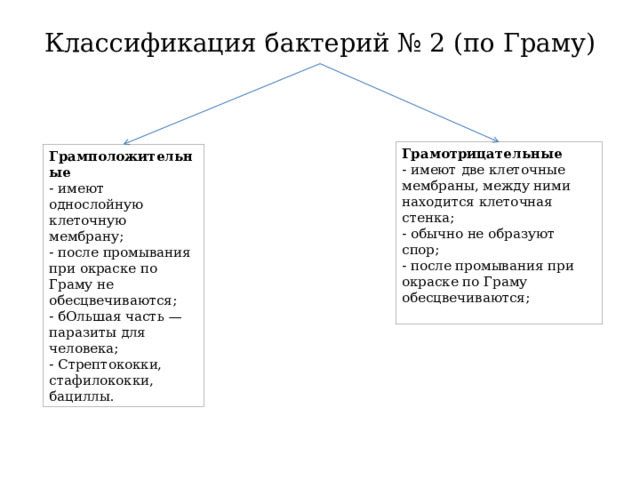Классификация бактерий № 2 (по Граму) Грамотрицательные - имеют две клеточные мембраны, между ними находится клеточная стенка; - обычно не образуют спор; - после промывания при окраске по Граму обесцвечиваются; Грамположительные - имеют однослойную клеточную мембрану; - после промывания при окраске по Граму не обесцвечиваются; - бОльшая часть —паразиты для человека; - Стрептококки, стафилококки, бациллы. 