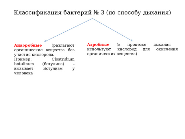 Классификация бактерий № 3 (по способу дыхания) Аэробные (в процессе дыхания используют кислород для окисления органических вещества) Анаэробные (разлагают органические вещества без участия кислорода. Пример: Clostridium botulinum (ботулина) – вызывает Ботулизм у человека 