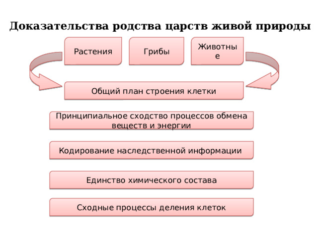 Доказательства родства царств живой природы Растения Грибы Животные Общий план строения клетки Принципиальное сходство процессов обмена веществ и энергии Кодирование наследственной информации Единство химического состава Сходные процессы деления клеток 