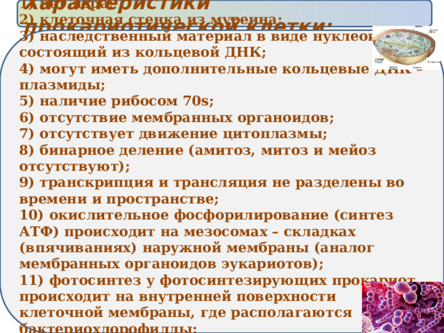Характеристики прокариотической клетки: 1) нет ядра; 2) клеточная стенка из муреина; 3) наследственный материал в виде нуклеоида, состоящий из кольцевой ДНК; 4) могут иметь дополнительные кольцевые ДНК – плазмиды; 5) наличие рибосом 70s; 6) отсутствие мембранных органоидов; 7) отсутствует движение цитоплазмы; 8) бинарное деление (амитоз, митоз и мейоз отсутствуют); 9) транскрипция и трансляция не разделены во времени и пространстве; 10) окислительное фосфорилирование (синтез АТФ) происходит на мезосомах – складках (впячиваниях) наружной мембраны (аналог мембранных органоидов эукариотов); 11) фотосинтез у фотосинтезирующих прокариот происходит на внутренней поверхности клеточной мембраны, где располагаются бактериохлорофиллы; 12) некоторые способны фиксировать азот из воздуха 