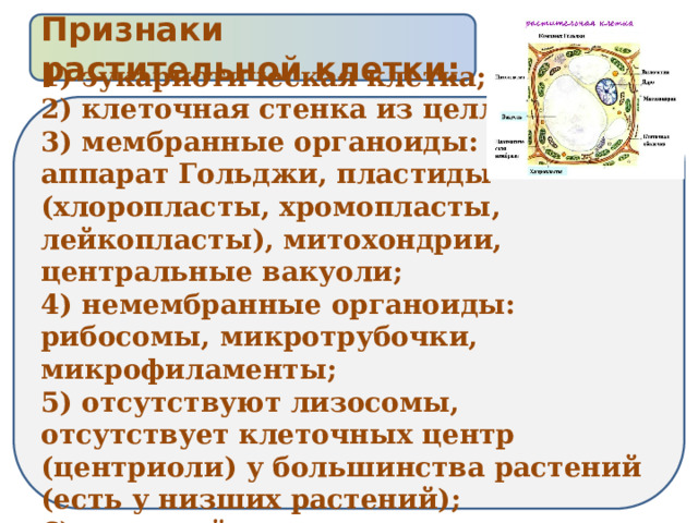 Признаки растительной клетки: 1) эукариотическая клетка; 2) клеточная стенка из целлюлозы; 3) мембранные органоиды: ЭПС, аппарат Гольджи, пластиды (хлоропласты, хромопласты, лейкопласты), митохондрии, центральные вакуоли; 4) немембранные органоиды: рибосомы, микротрубочки, микрофиламенты; 5) отсутствуют лизосомы, отсутствует клеточных центр (центриоли) у большинства растений (есть у низших растений); 6) запасной полисахарид – крахмал 