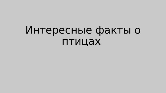 Интересные факты о птицах 